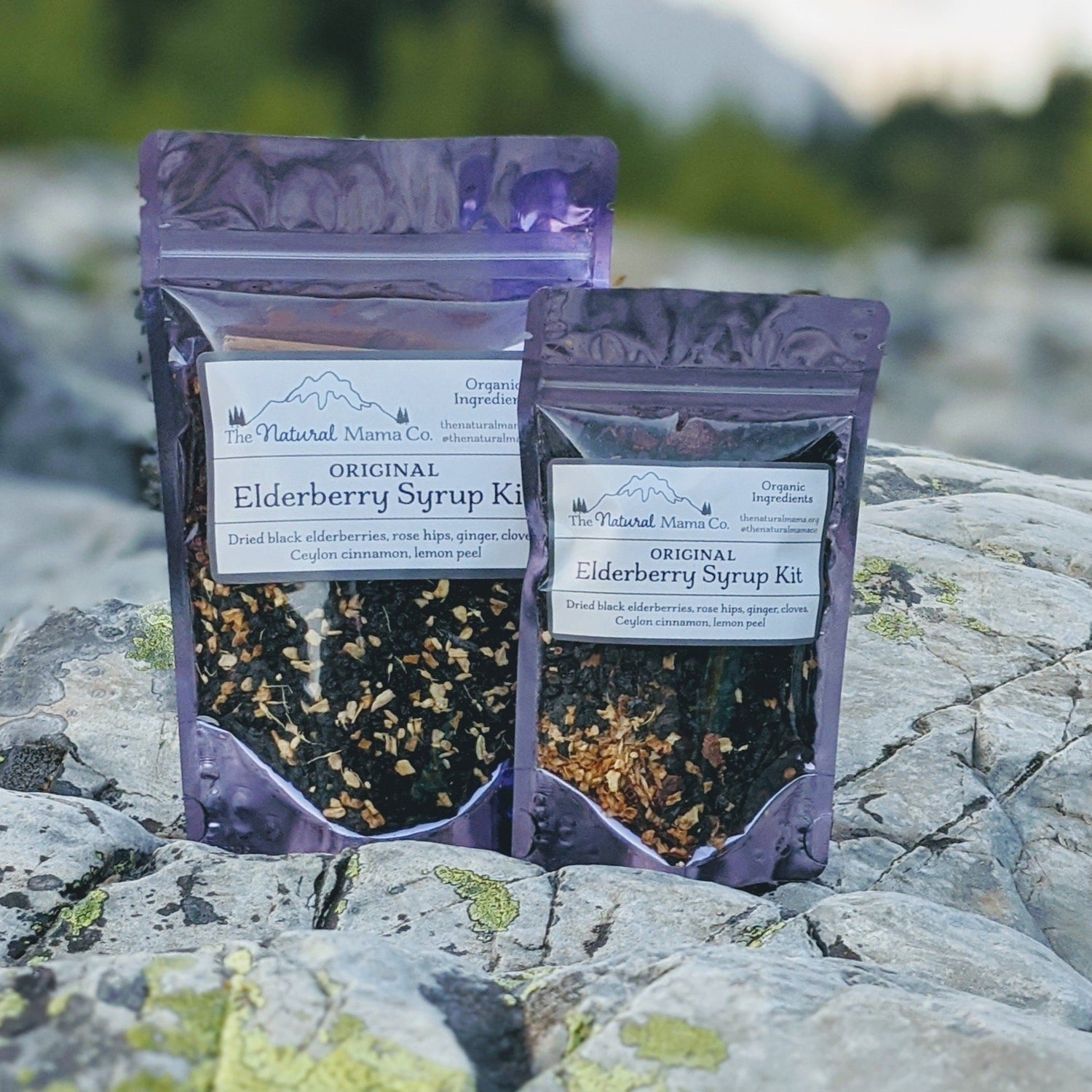 The Original Elderberry Syrup Kit – DIY Traditional Spice Blend