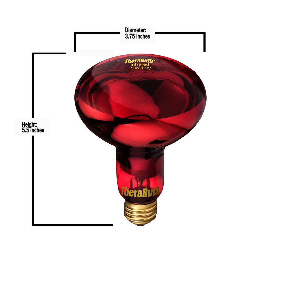 TheraBulb 150W Near Infrared Starter Kit-240V
