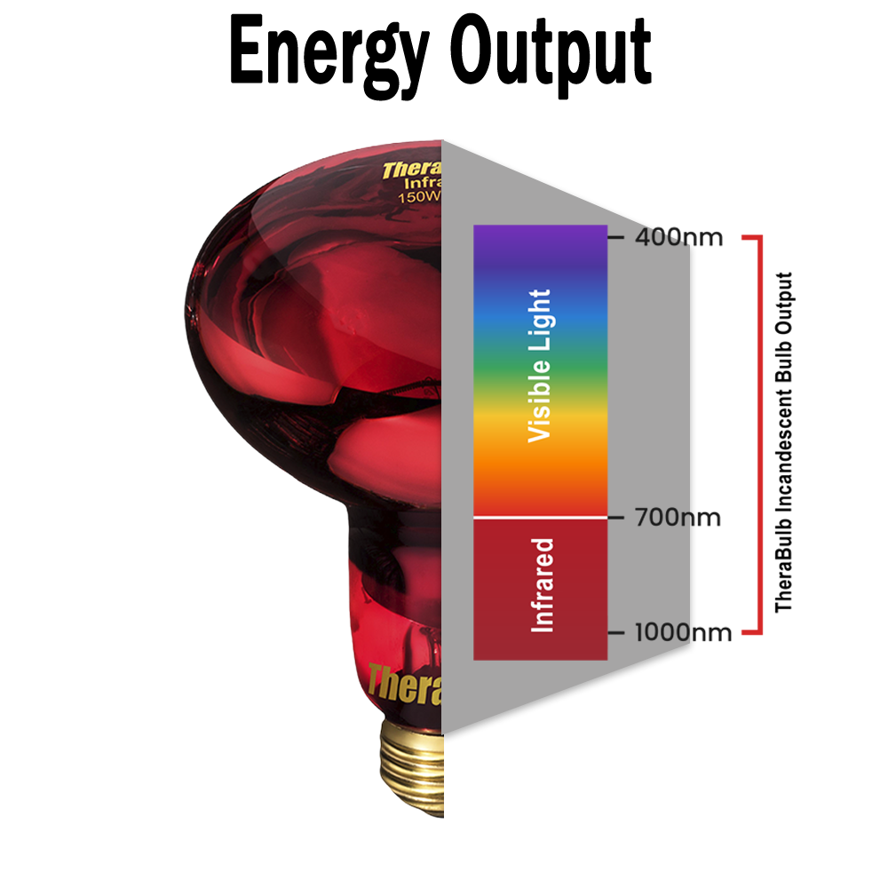 TheraBulb 150W Near Infrared Heat Lamp Starter Kit