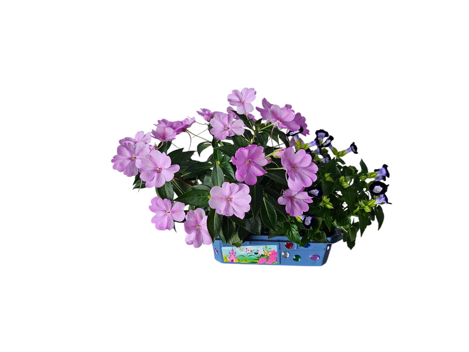 Flower Princess Palace Mini World Terrarium