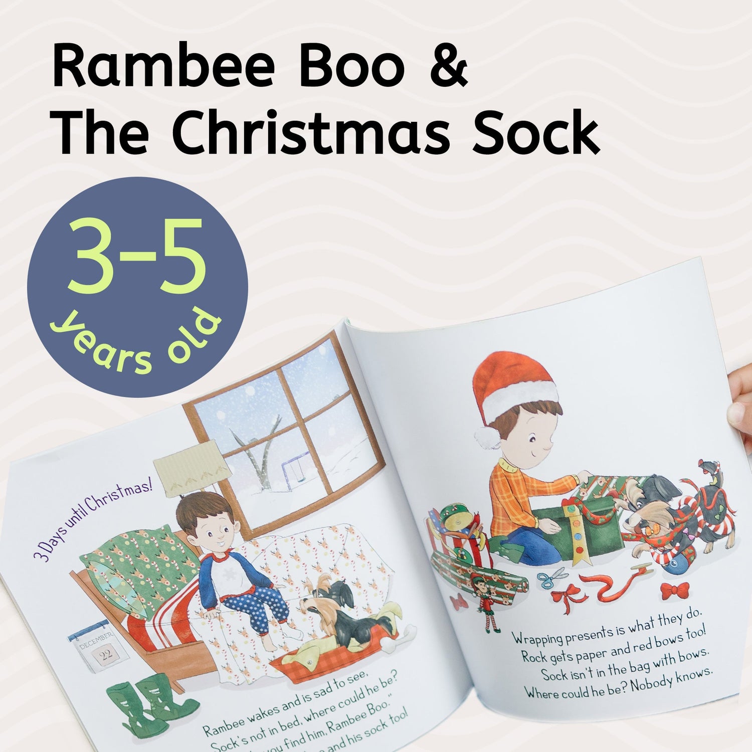 Rambee Boo & The Christmas Sock
