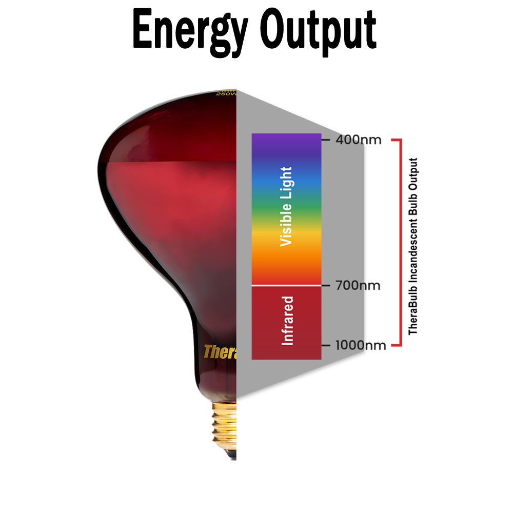 TheraBulb 250W Near Infrared Heat Lamp Starter Kit