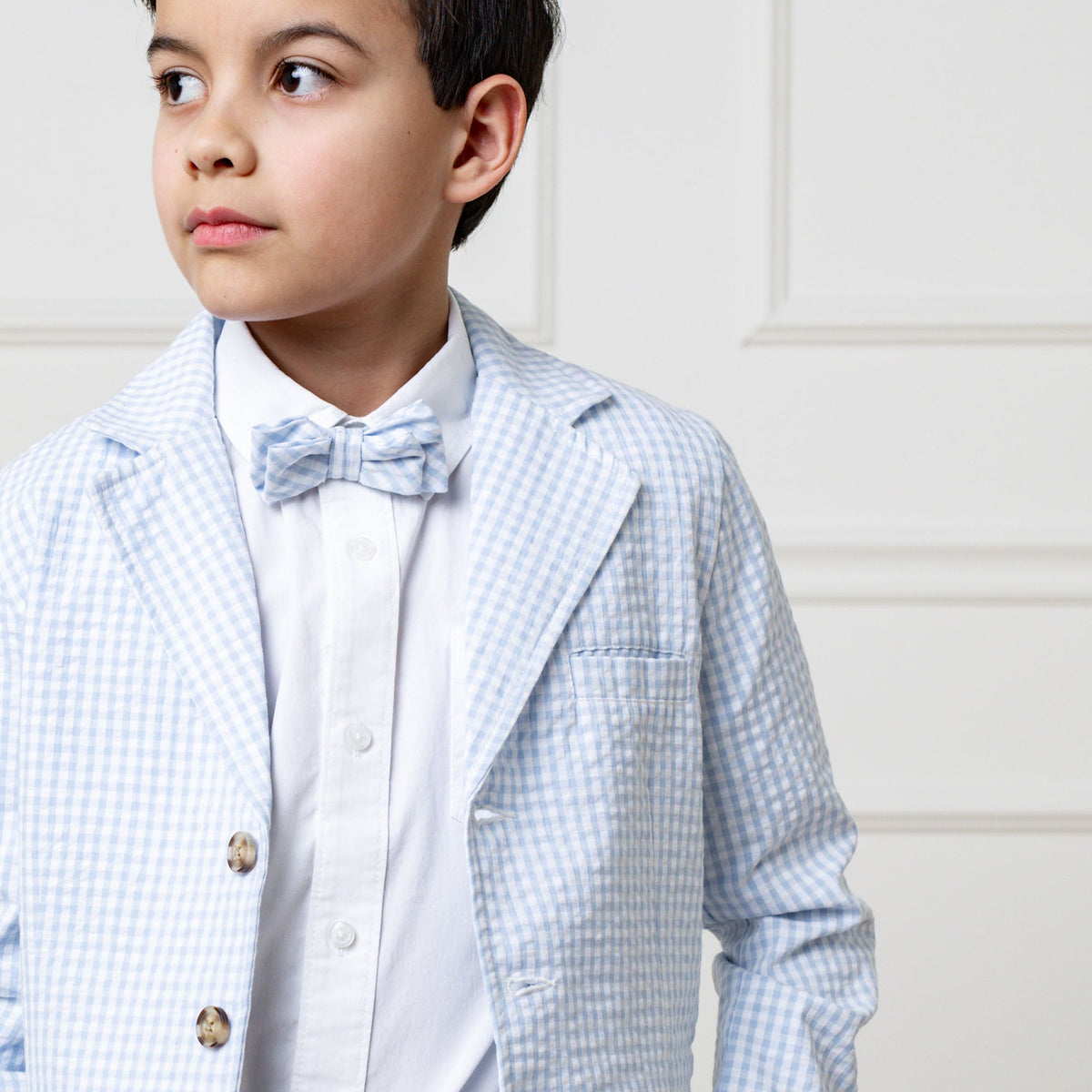 Seersucker Bow Tie