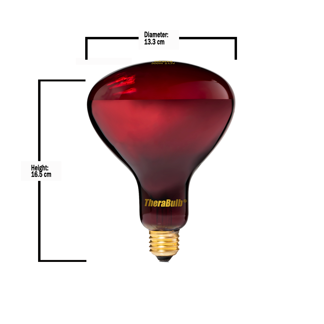 TheraBulb 300W Near Infrared Starter Kit-240V