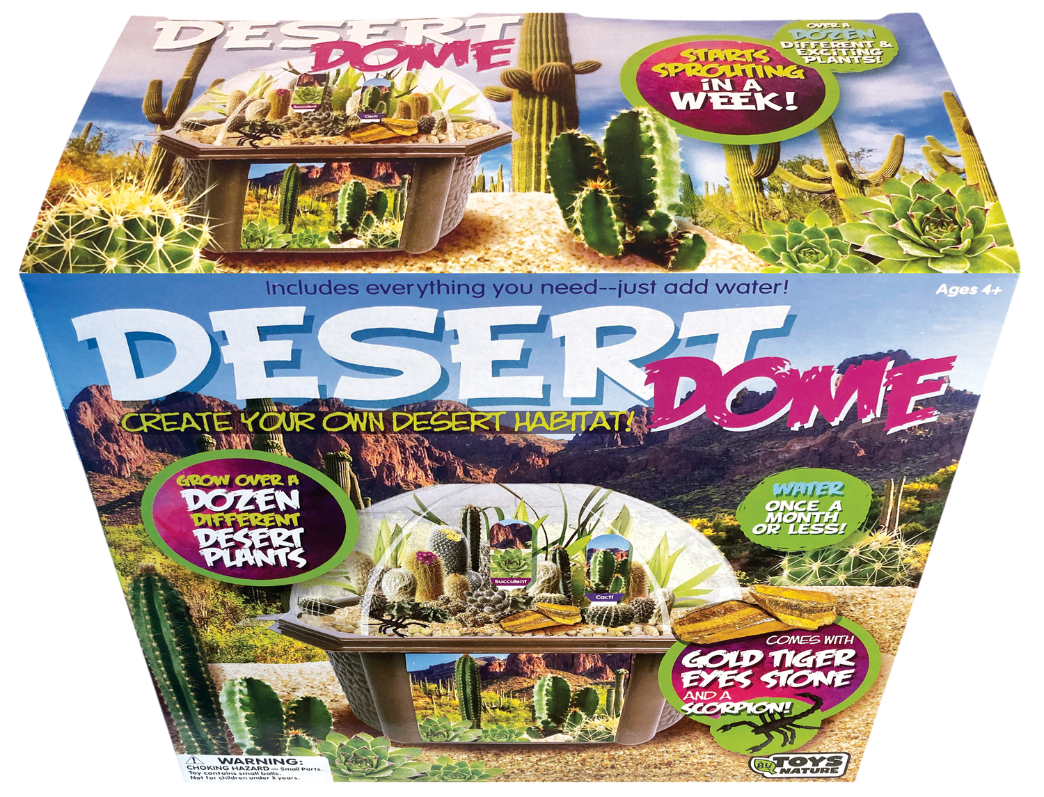 Desert Dome Biosphere Terrarium