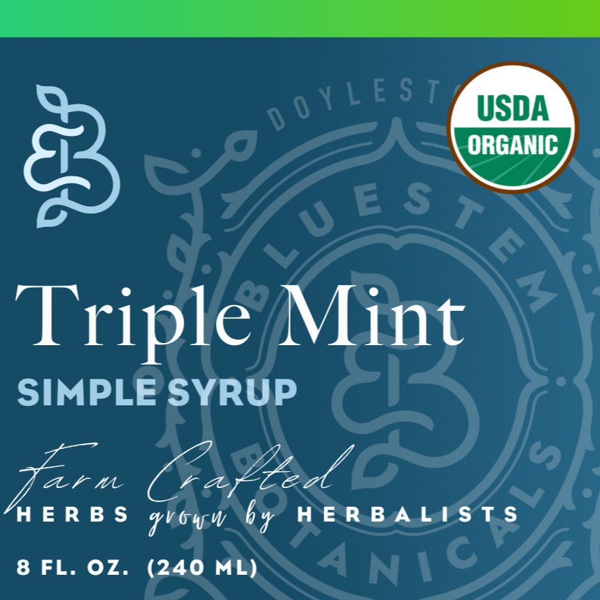 Simple Syrup, Triple Mint, ORG - Bluestem Botanicals