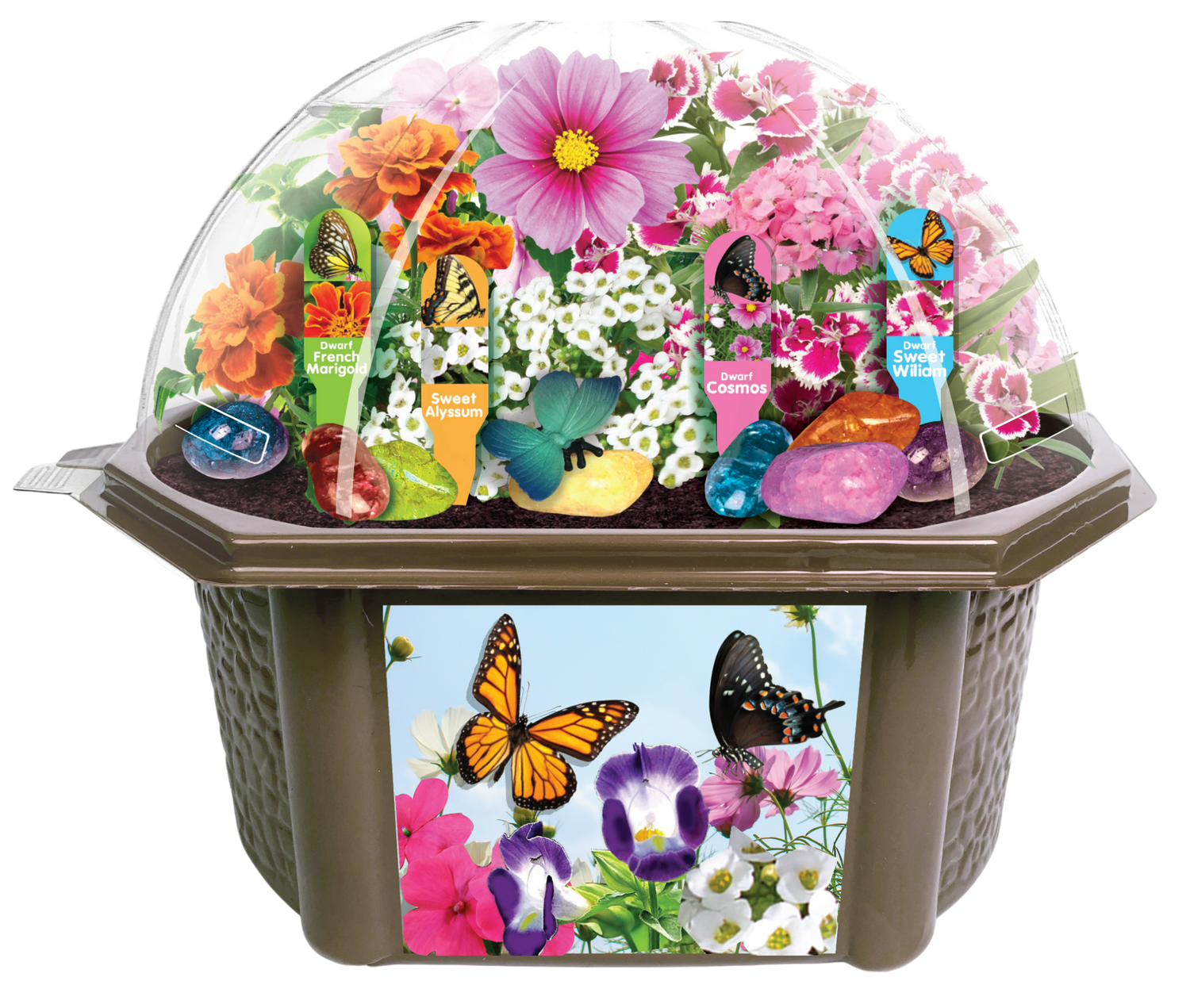 Bountiful Butterfly Garden Biosphere Terrarium