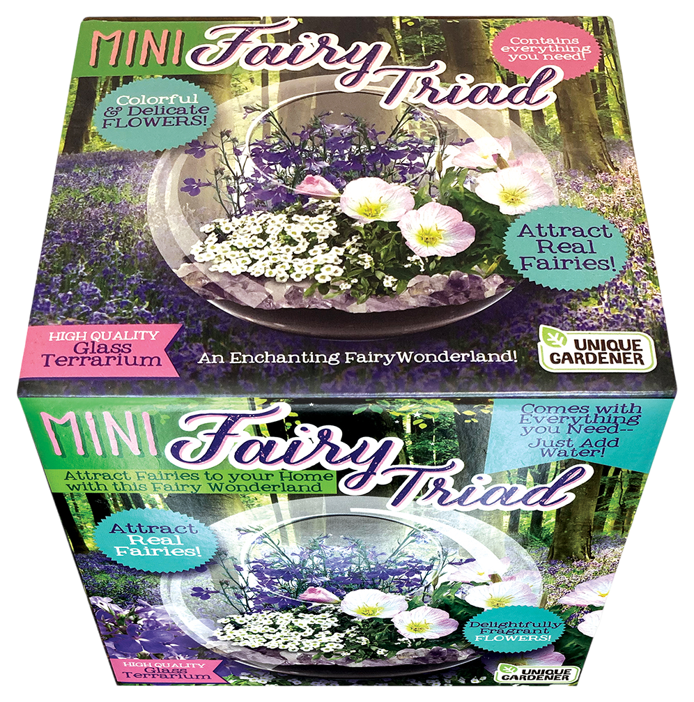 Fairy Triad Glass Terrarium Seed Starting Kit