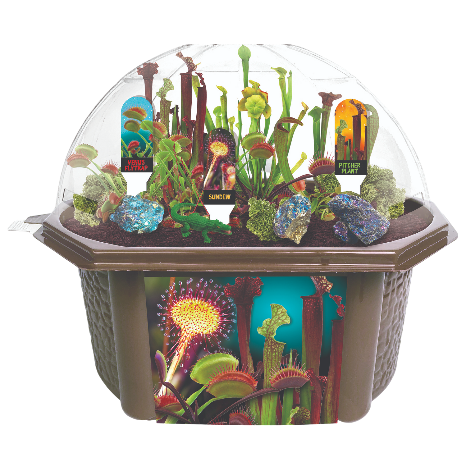 Carnivorous Creatures Biosphere Terrarium