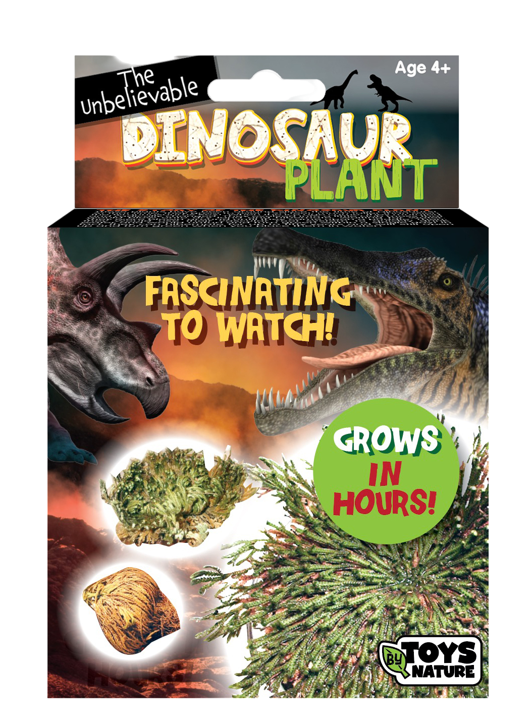 Dinosaur Plant -  Multipack of 3