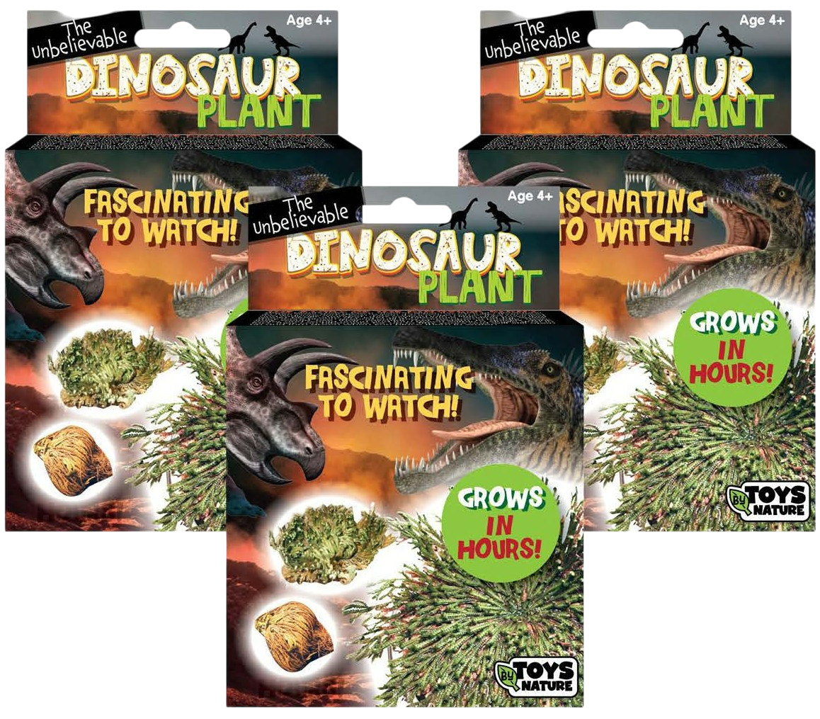 Dinosaur Plant -  Multipack of 3
