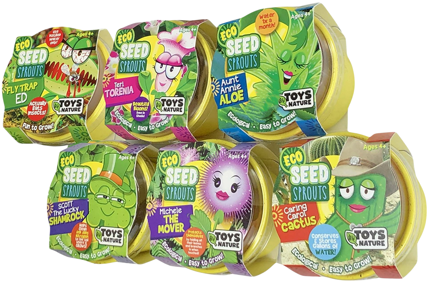Eco Seed Sprouts 6 Variety Assortment Pack – 1 of Each