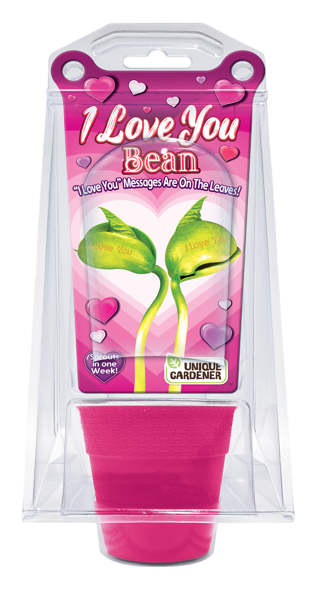 "I Love You" Bean Terrarium