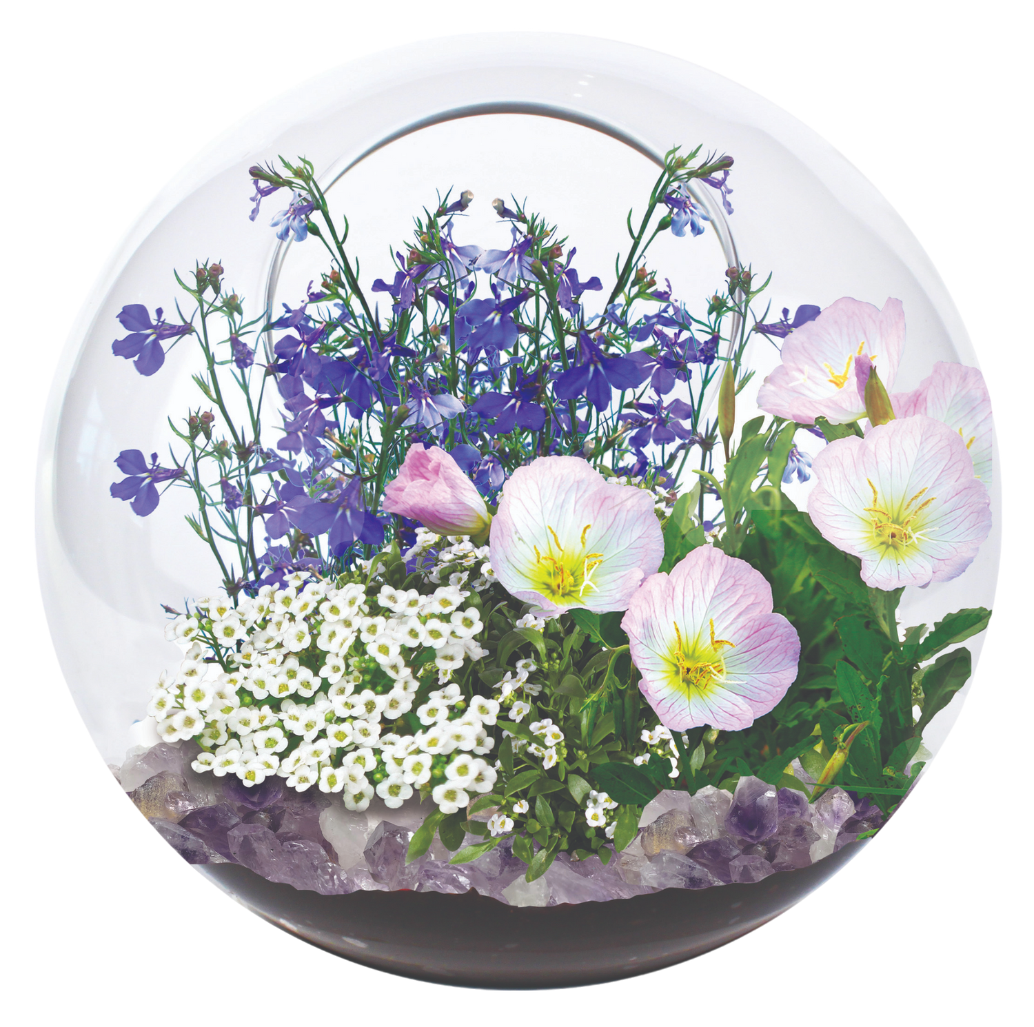 Fairy Triad Glass Terrarium Seed Starting Kit