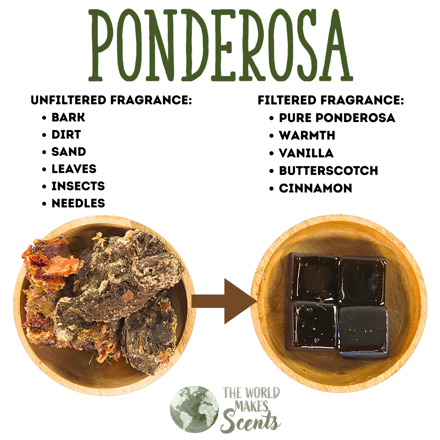 Filtered Ponderosa Pine Resin (Pinus ponderosa) 1oz (28g)