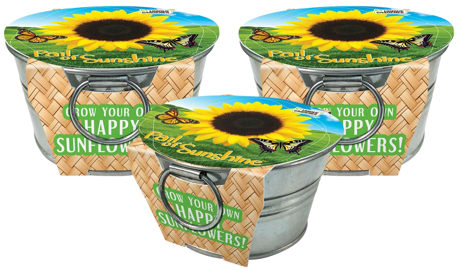 Pail of Sunshine - Grow Your Own Sunflowers Multipack of 3