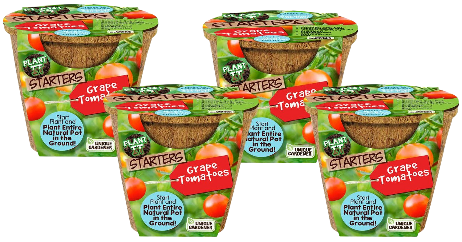 Grape Tomatoes Plant-It-Starters - Multipack of 4