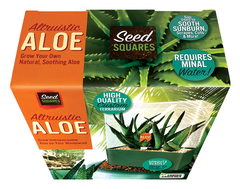 Aloe Seed Square Terrarium