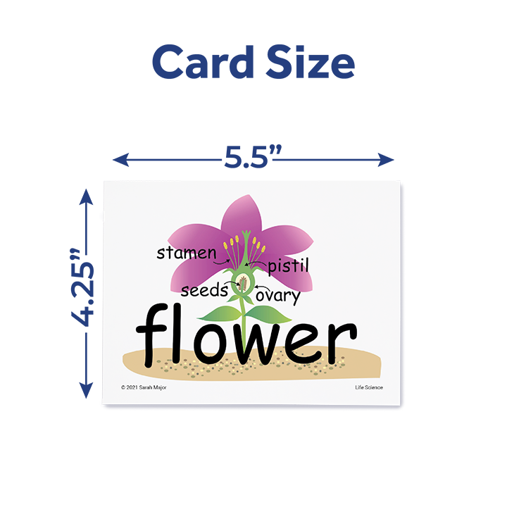 SnapWords® Science Vocabulary Kit