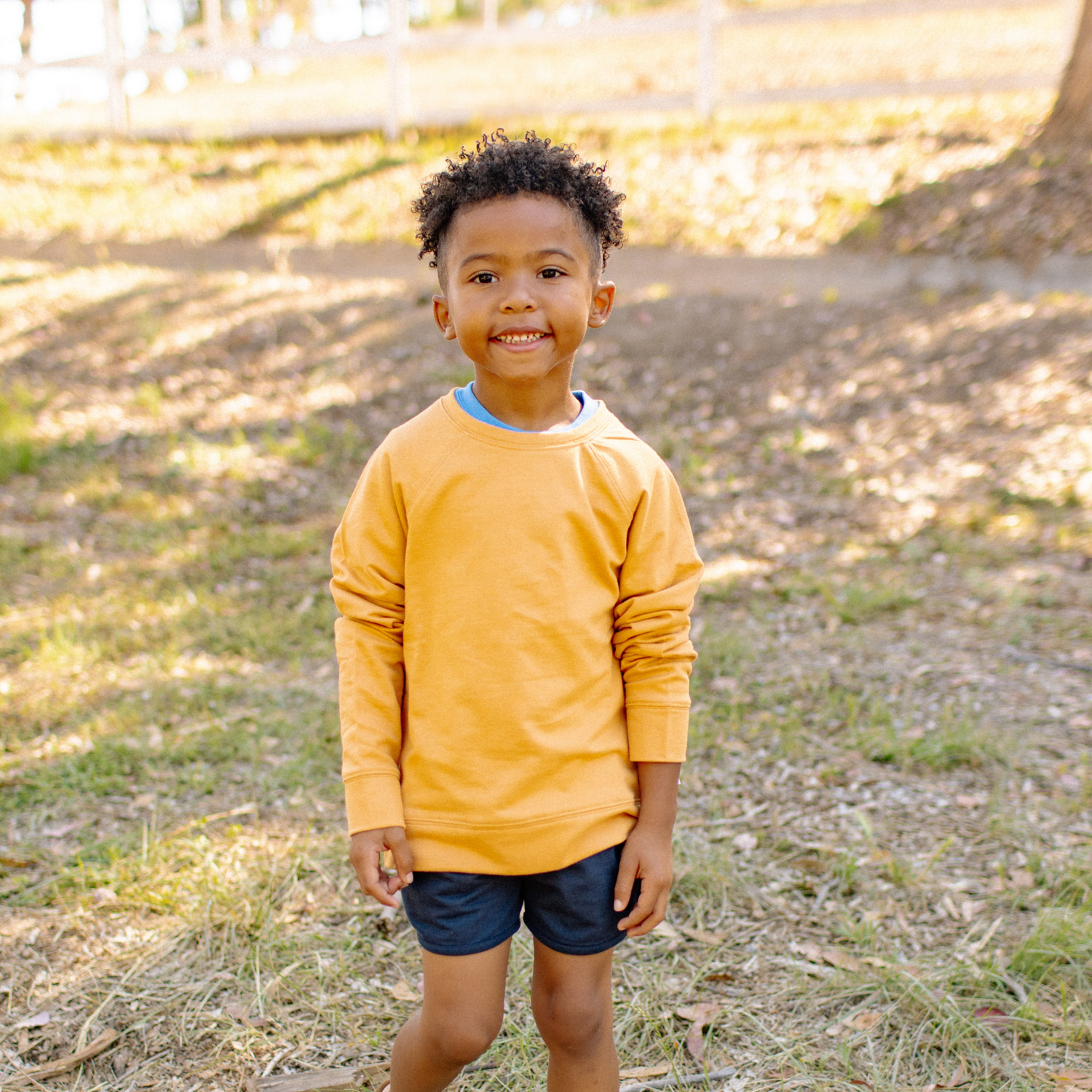 Stevie Raglan Sweatshirt - Butterscotch