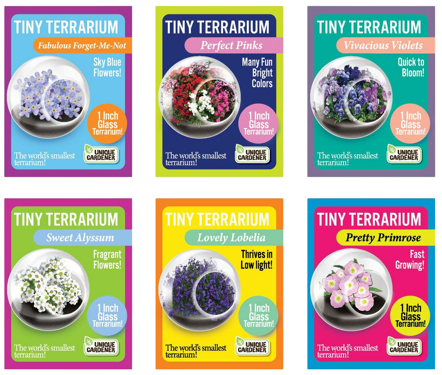 Flowering Tiny Terrariums Bundle - 1 each of 6 Varieties
