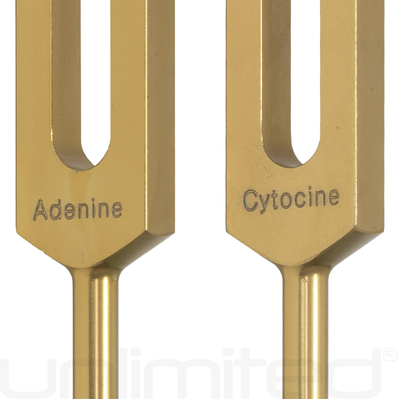 Unlimited DNA Nucleotides Tuning Fork Set