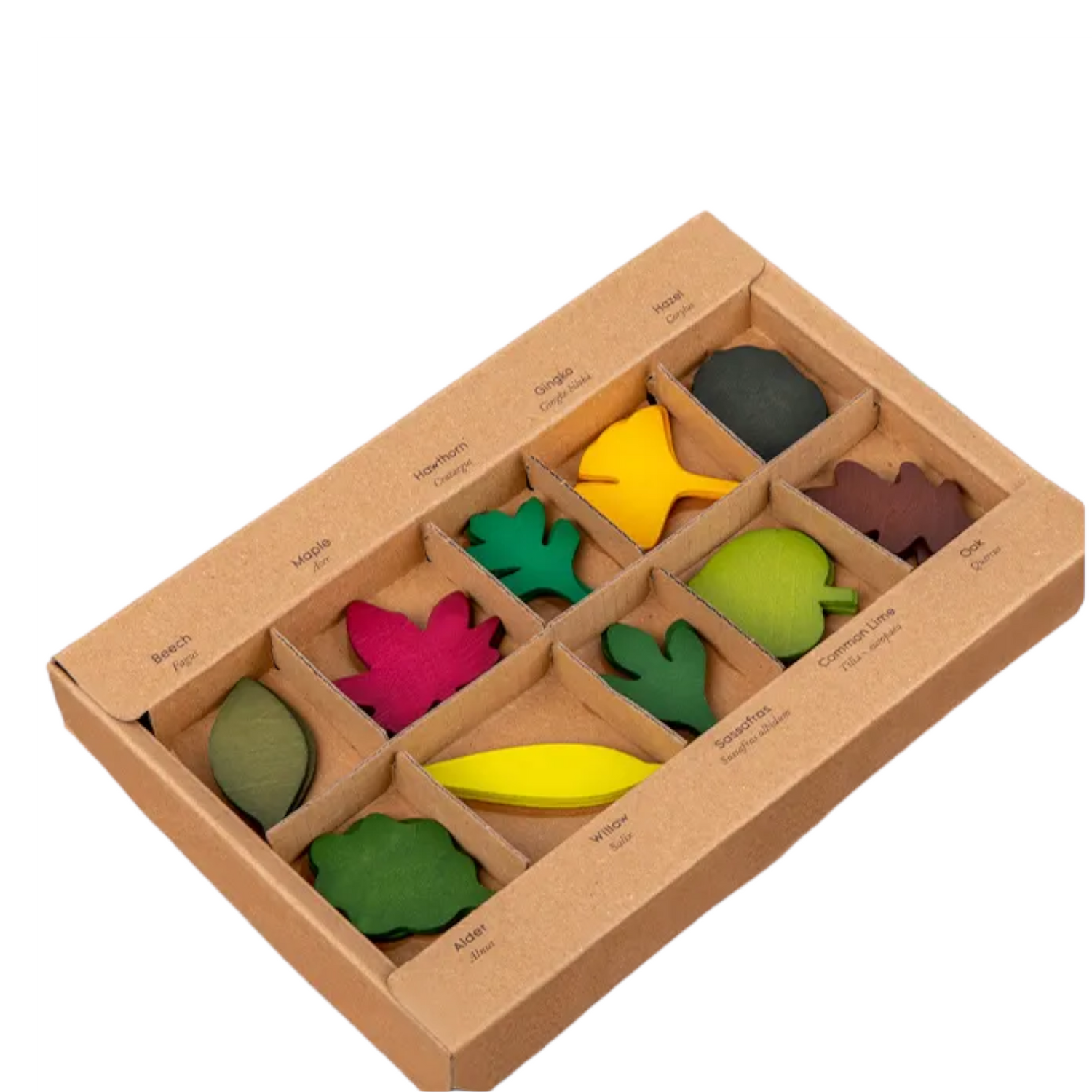 40-Piece Woodland Leaves Wooden Forest Set – Nature-Inspired Loose Parts Play