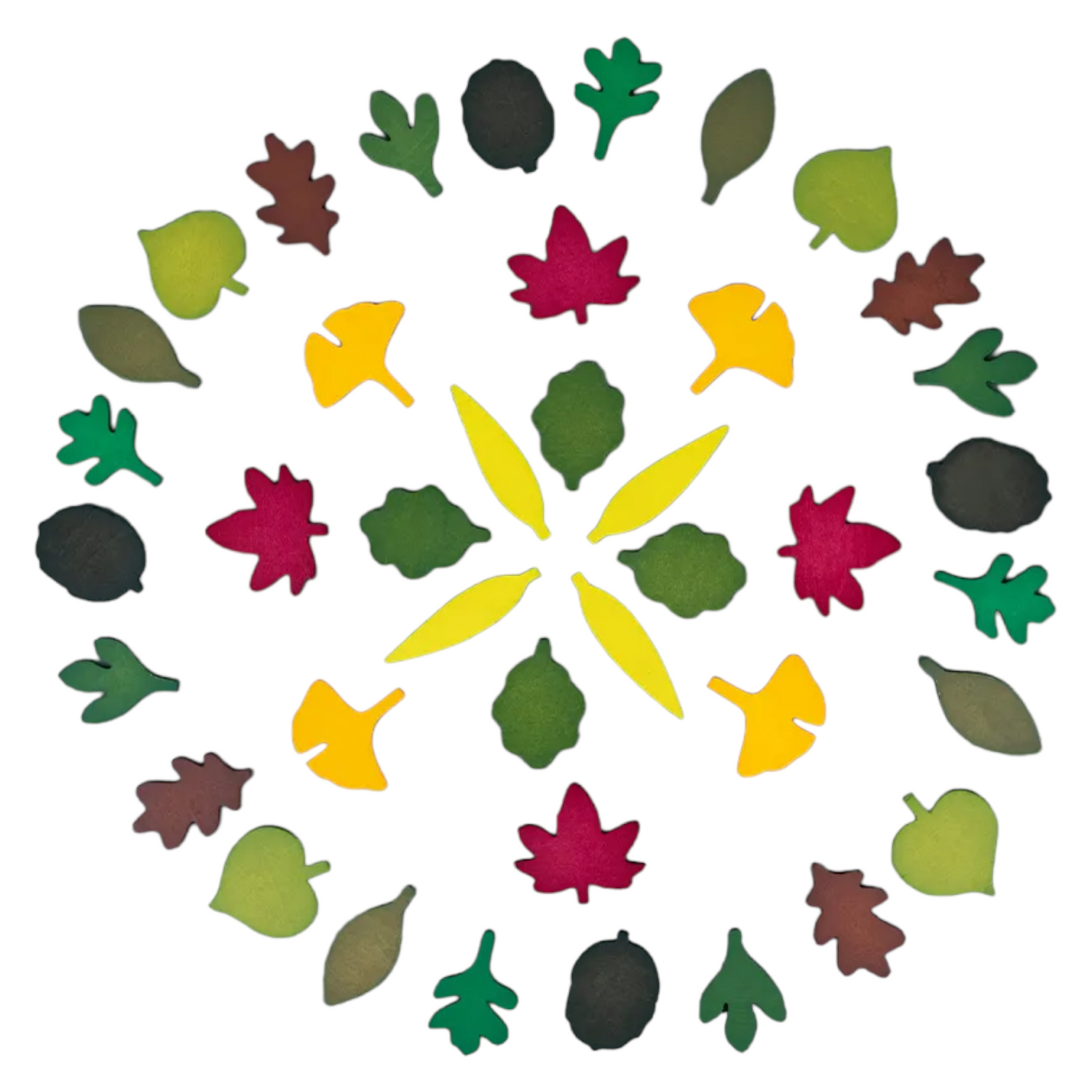 40-Piece Woodland Leaves Wooden Forest Set – Nature-Inspired Loose Parts Play