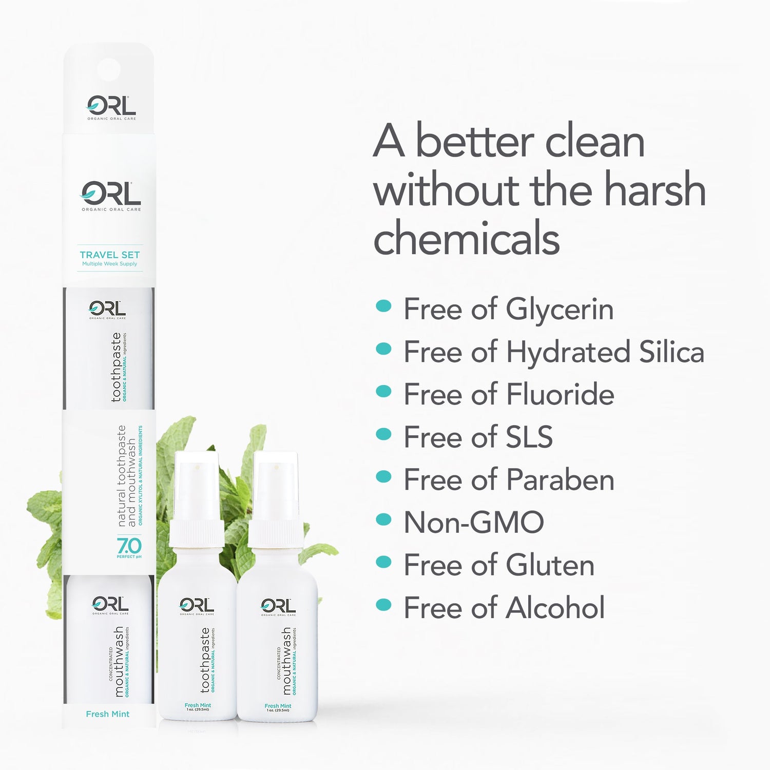 Fresh Mint Travel Collection