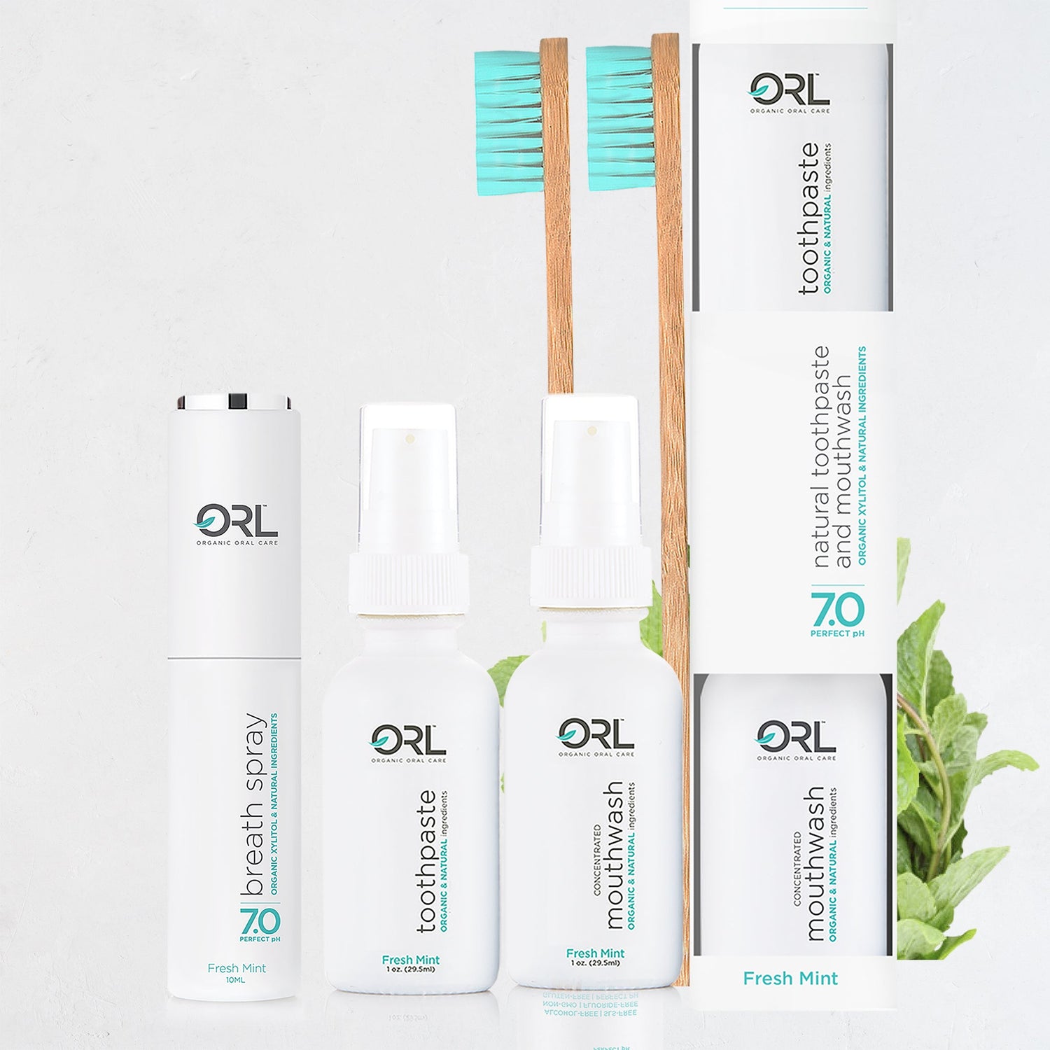 Fresh Mint Travel Collection